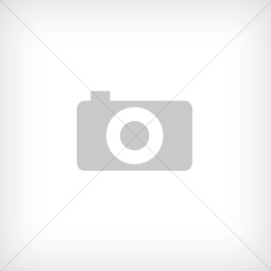 converted base64 image